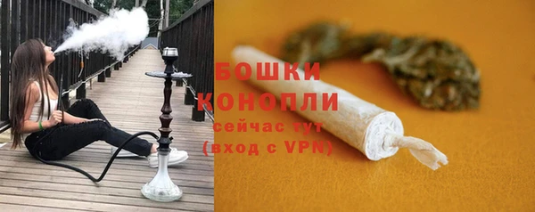 эйфоретик Иннополис