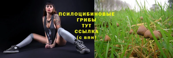 соль курить ск Инта