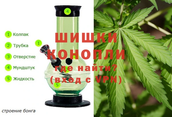 эйфоретик Иннополис