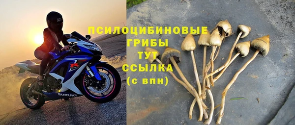 эйфоретик Иннополис