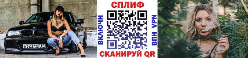 Купить  Белый  Бошки марихуана SATIVA & INDICA 